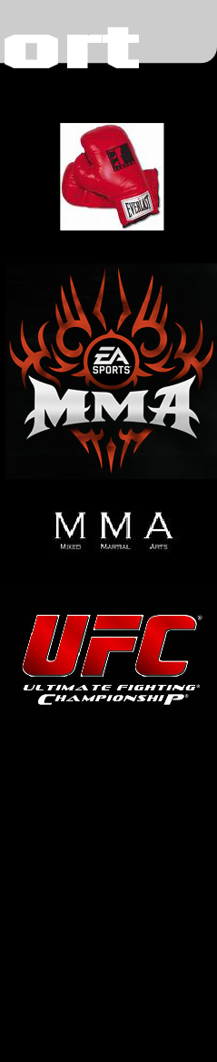 Fighters K1/MMA